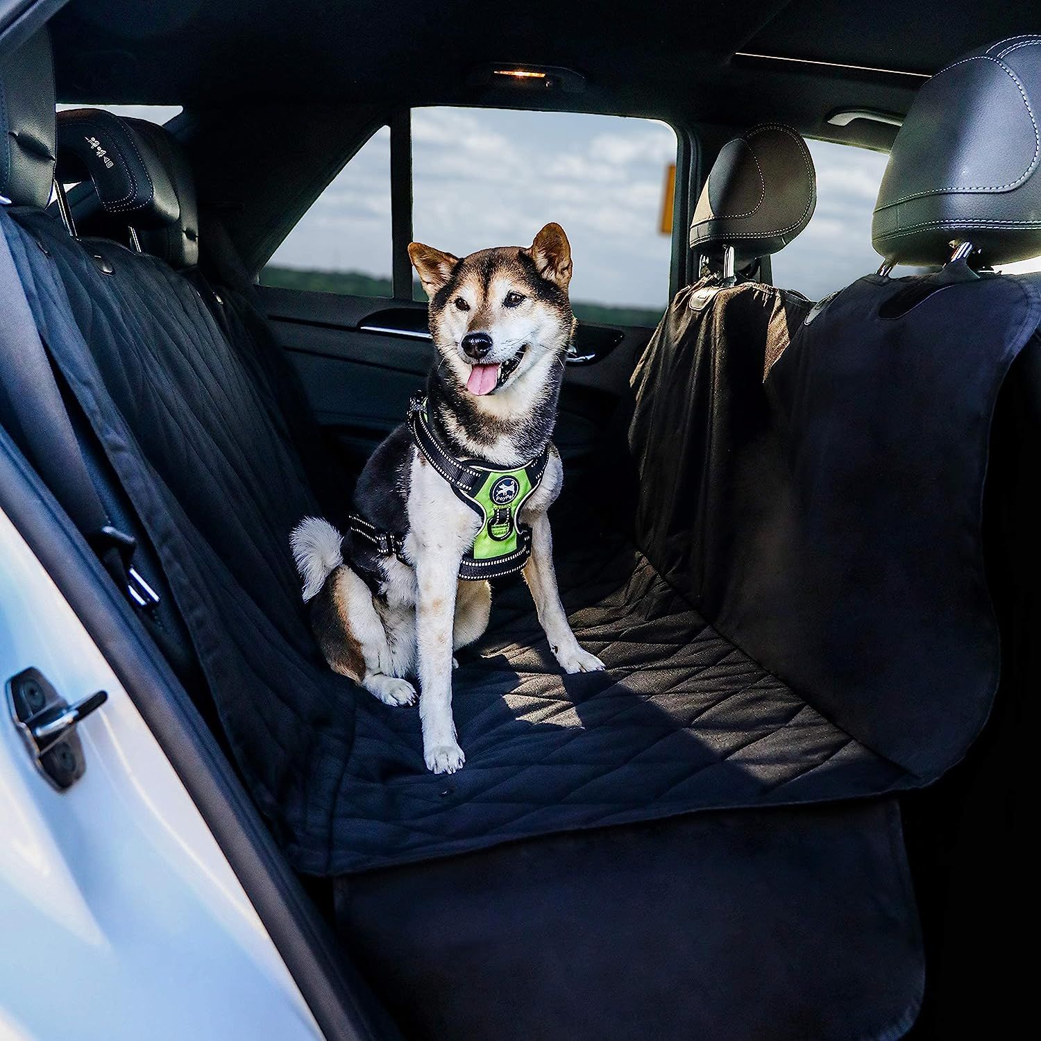 beagle lab mix